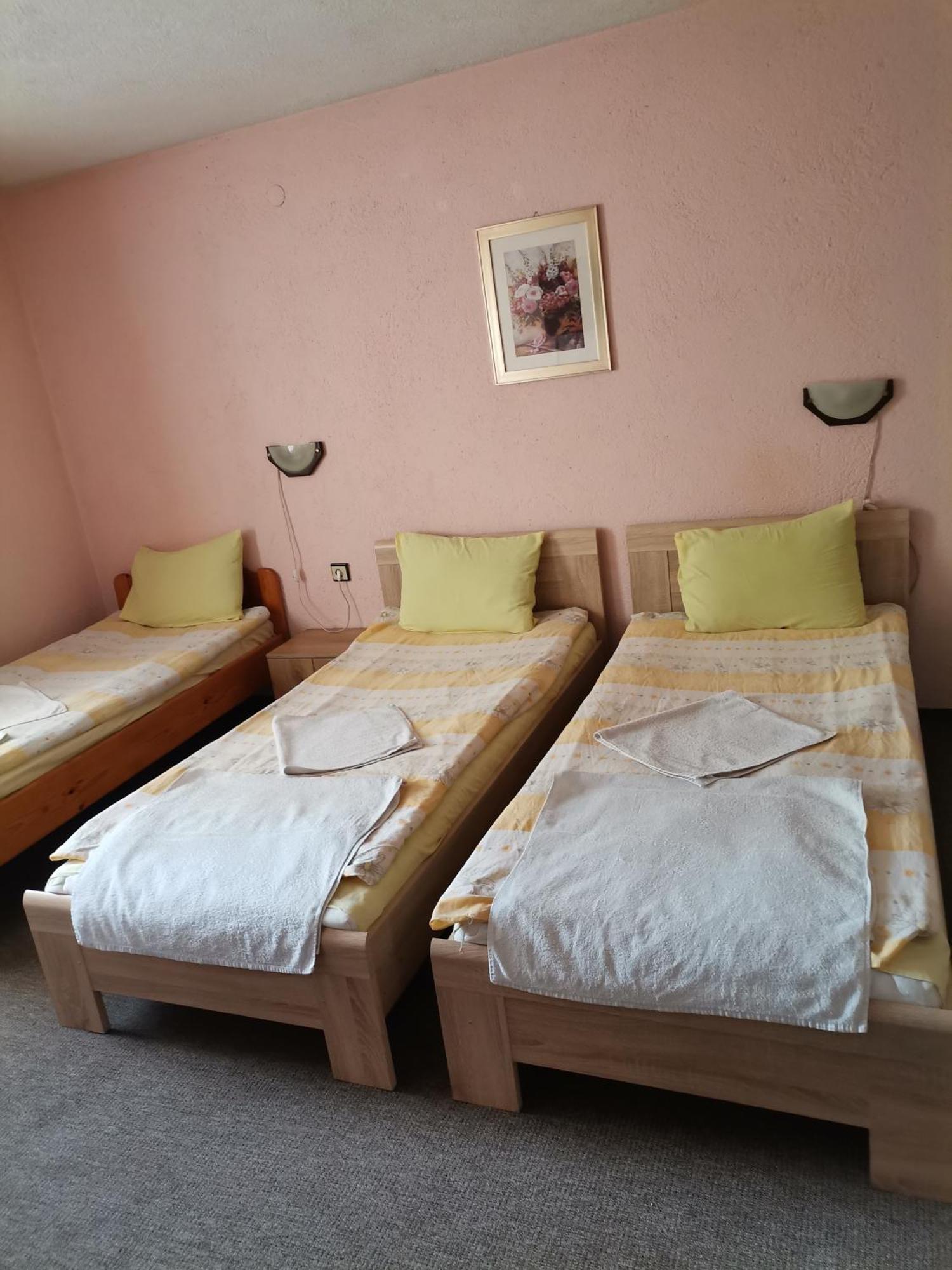 Family Hotel Santo Bansko Exterior foto