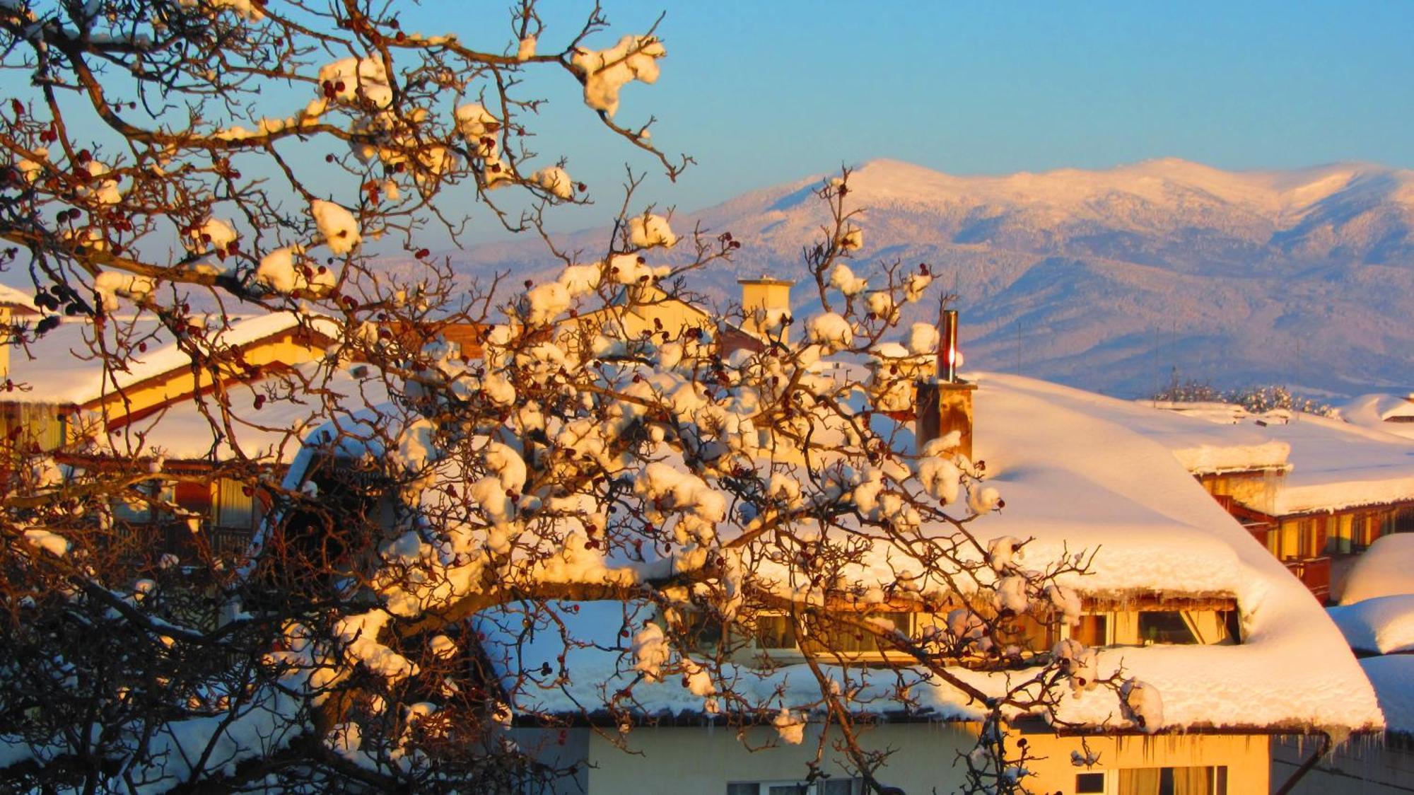 Family Hotel Santo Bansko Exterior foto